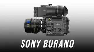 Sony BURANO - CineAlta Designed for Solo Shooters