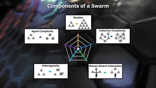 What Is a Swarm?