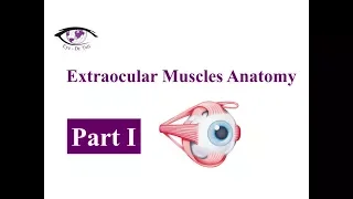 Extraocular Muscles Anatomy, Part 1 of 3 / Eye - Dr. Tuti