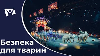 Жорстокість над тваринами: цирки поза законом! | Вісті Надії