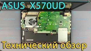 Технический обзор ноутбука Asus X570UD