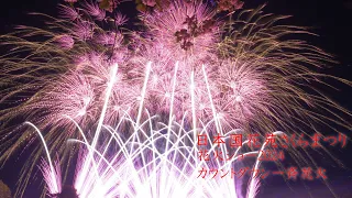 2024 日本国花苑さくらまつり【ド迫力】特別PGカウントダウン一斉花火　　#fireworks #花火