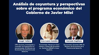 ANÁLISIS DE COYUNTURA Y PERSPECTIVAS SOBRE EL PROGRAMA ECONÓMICO DEL GOBIERNO DE JAVIER MILEI