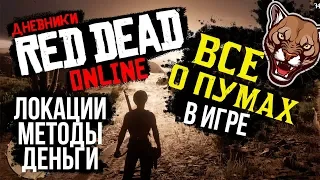 Исследуем ловлю пум в Red Dead Online | БЕСКОНЕЧНЫЕ ДЕНЬГИ