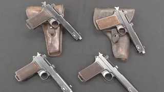 Steyr Hahn Variants