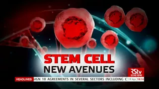 In Depth: Stem Cells- New Avenues