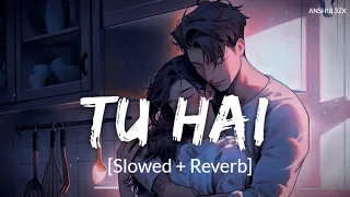 Tu Hai (Slowed + Reverb) | Darshan Raval, Neha Sharma | Prakriti Giri | Anshul3zx