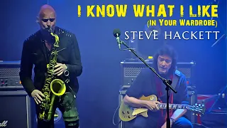 Steve Hackett - I Know What I Like (In Your Wardrobe)