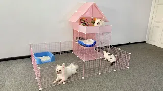 DIY Palace House For Pomeranian Puppies & Kitten - How To Make House For Dog Cat - MR PET #100