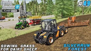 Breeding 600 dairy sheep, sowing field grass | Silverrun Forest | Farming simulator 22 | ep #49