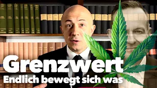 Eilmeldung! Was passiert mit Grenzwert und Legalisierung