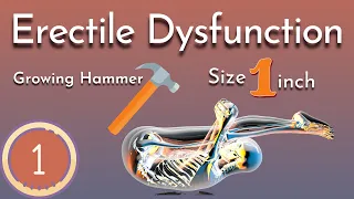 Yoga for Erectile Dysfunction - Part 1 | Growing Hammer 🔨