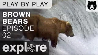 Brown Bear Play By Play - Ranger's Mike and Dave - Katmai National Park - Episode 02