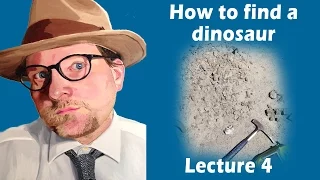 How to find a dinosaur
