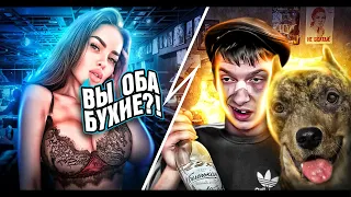 ДЕВУШКА В ШОКЕ | ПЬЯНАЯ СОБАКА И ХОЗЯИН | чат рулетка пранк