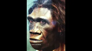 World History Chapter 1 Part 3: Homo Erectus | PREHISTORY