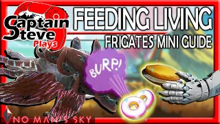 No Man's Sky Endurance Feeding Living Frigates Stat Changes Mini Guide Captain Steve NMS