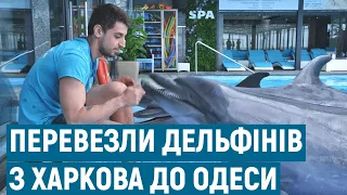 Десять "морських біженців" перевезли з харківського дельфінарію до одеського