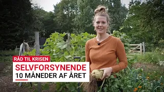 Råd til krisen - Køkkenhave