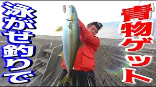 Amberjack fishing from the banks