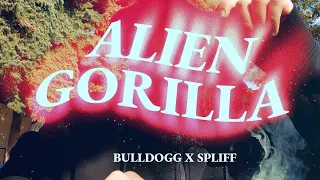 Alien Gorilla - Bulldogg x Spliff - Trichomes (Official Music Video)