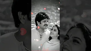 Santhosham Movie || Devude Dhigi Vachina Song WhatsApp Status || Nagarjuna | Shriya saran | dasaradh