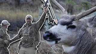 Stalking Within 10 Yards of a Mature Buck | Bowhunt or Die Season 10 Episode 33