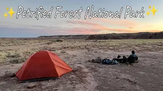 Backpacking in Petrified Forest National Park