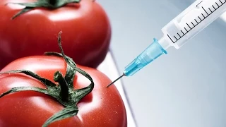 Вся правда о ГМО, неизвестные болезни и мутации. Россия HD NEW 2015