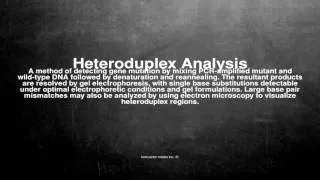 Medical vocabulary: What does Heteroduplex Analysis mean