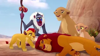 Simba x Nala Moments (Lion Guard, Part 2) (NOT made for kids)