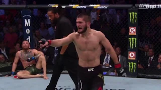 Khabib choked out McGregor and then all hell broke loose! #UFC229