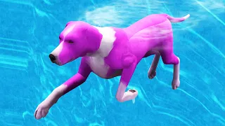 My dog DROWNED The Sims 3