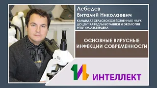 Лебедев Виталий Николаевич, Основные вирусные инфекции современности