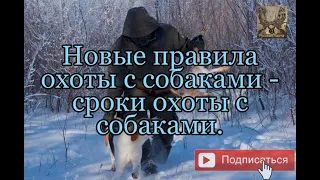 Новые правила охоты с собаками - сроки охоты с собаками.