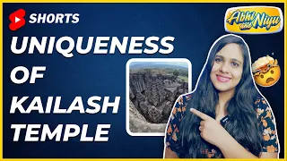 Mysteries of Kailash Temple ! | #abhiandniyu #shorts