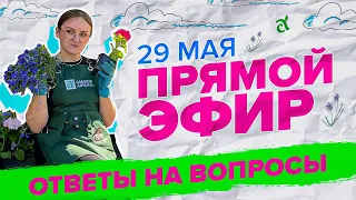 ПРЯМАЯ ТРАНСЛЯЦИЯ. ОТВЕТЫ НА ВОПРОСЫ | 29.05.24