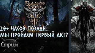 Baldur's Gate 3, кооп, закрываем первый акт в 2 персонажа.