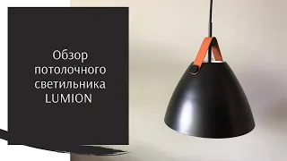 Обзор крутейшего потолочного светильника Lumion Darren