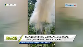 Balitang Bisdak: Linibo nga Punoan sa Marijuana