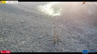 08/12/2021 Fumarola base ladera sur del cráter sureste. Erupción La Palma IGME