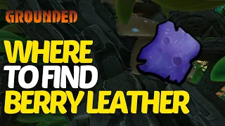 Where to Find Berry Leather in Grounded 2024