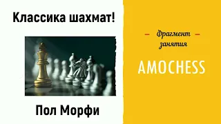 Пол Морфи