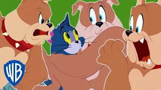 Tom et Jerry en Français | Meilleur de Spike | WB Kids