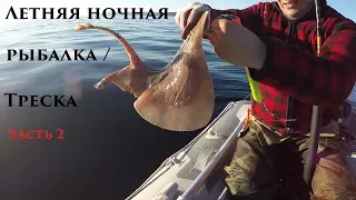 Летняя ночная рыбалка / Треска / часть 2 / Summer night fishing / Cod / part 2