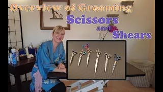 Pet Grooming Scissors and Shears - An Introduction - Gina's Grooming