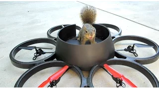 Squirrel Steals Drone