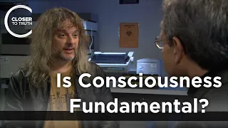 David Chalmers - Is Consciousness Fundamental?