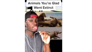 Animals You’re Glad Went Extinct (Mndiaye_97)