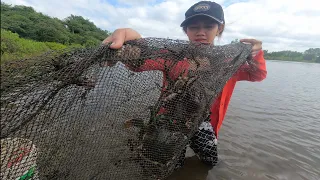 Amazing Catch Huge Mud Crabs at Swamp after Water Low Tide | The Fishing Videos